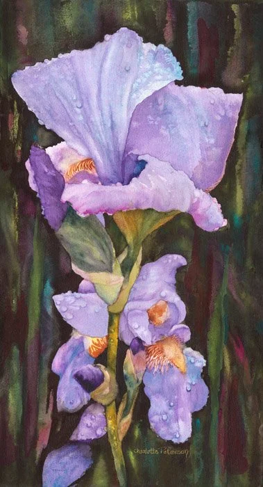 Purple Rain II v4.jpg