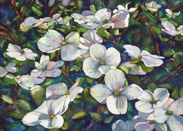 Dance of the Dogwoods 1.jpg