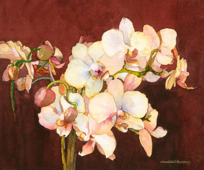 Orchids Blush v3.jpg