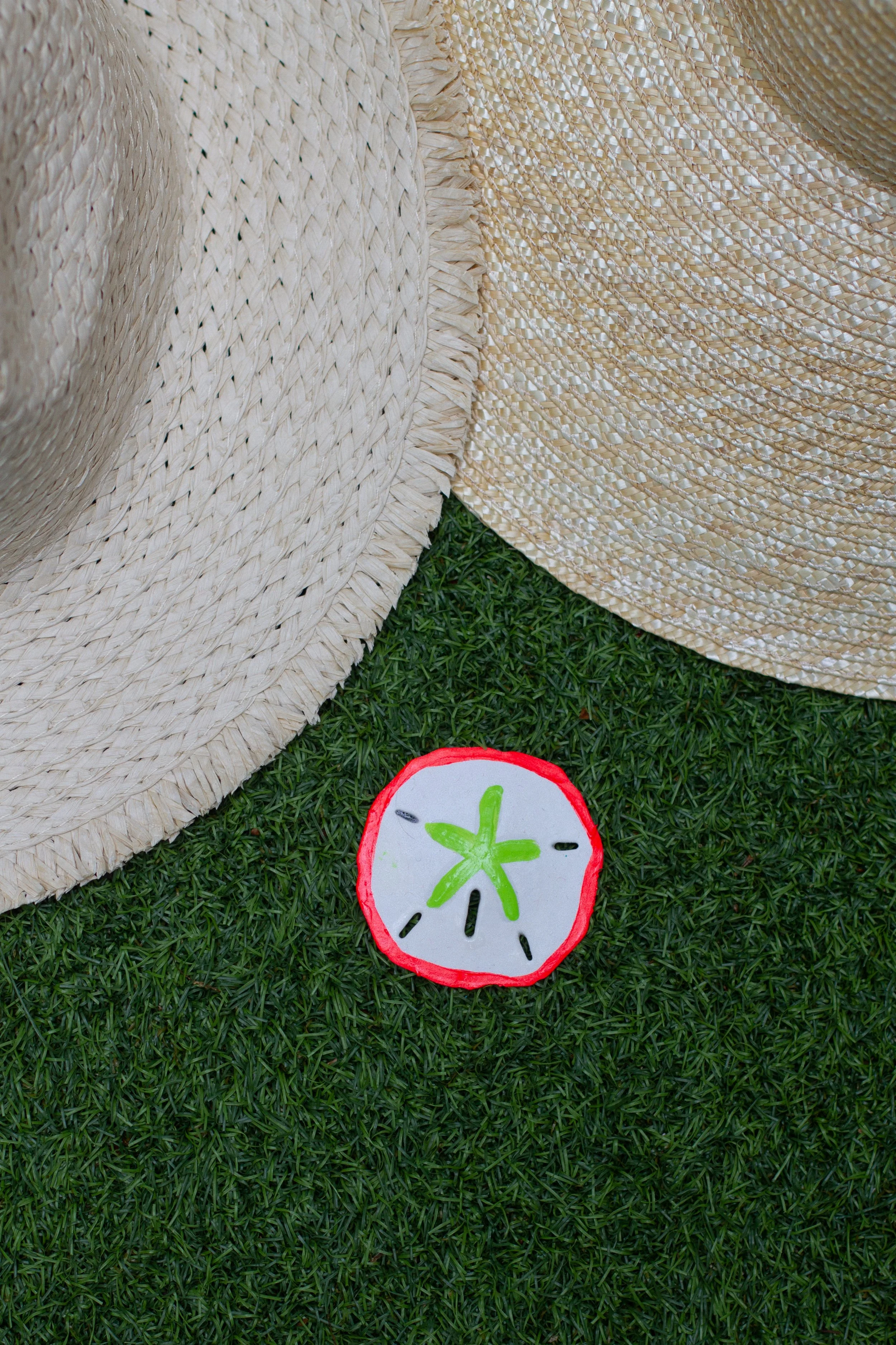 PAINTED SAND DOLLAR Sun OR Raffia Hat