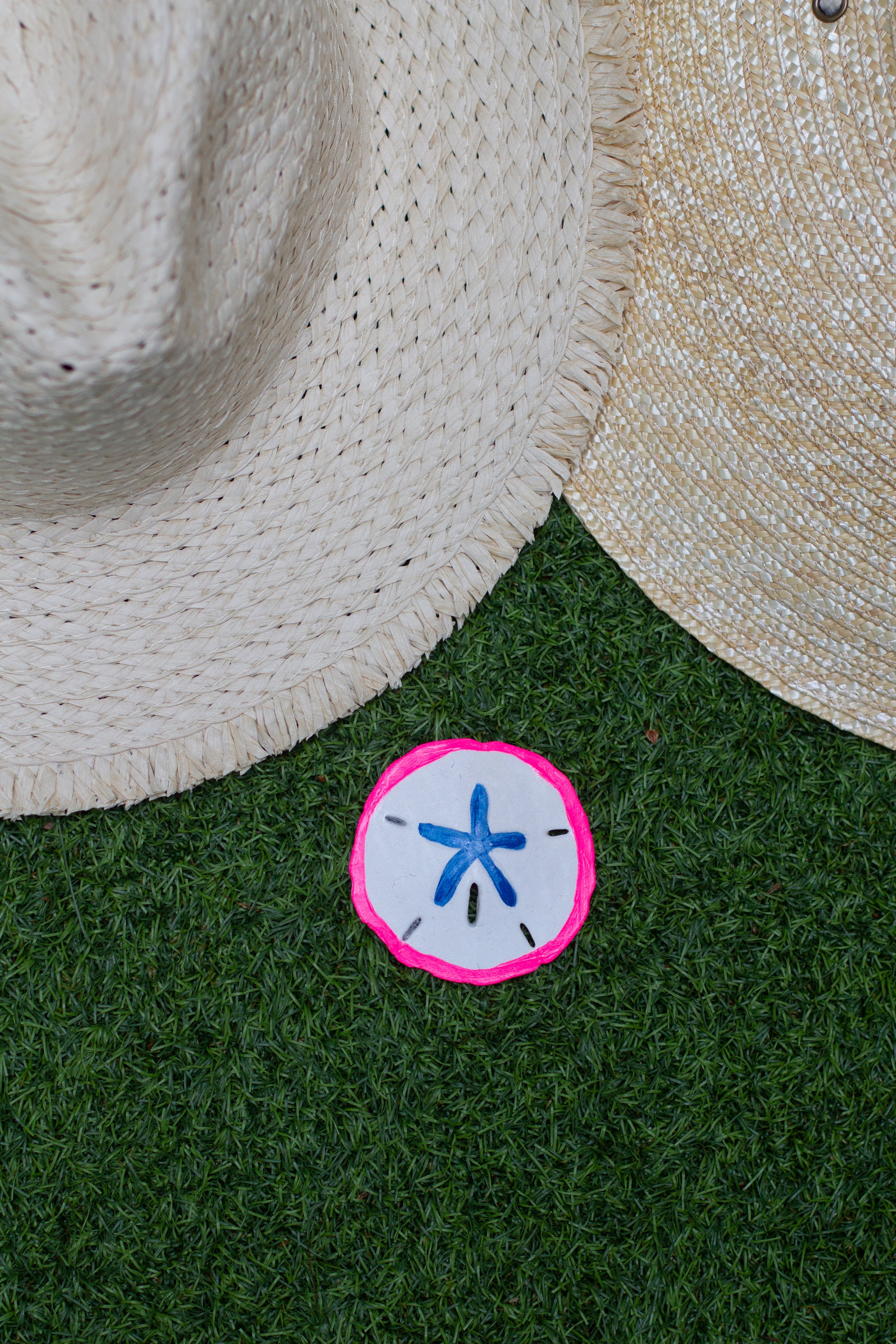 PAINTED SAND DOLLAR Sun OR Raffia Hat