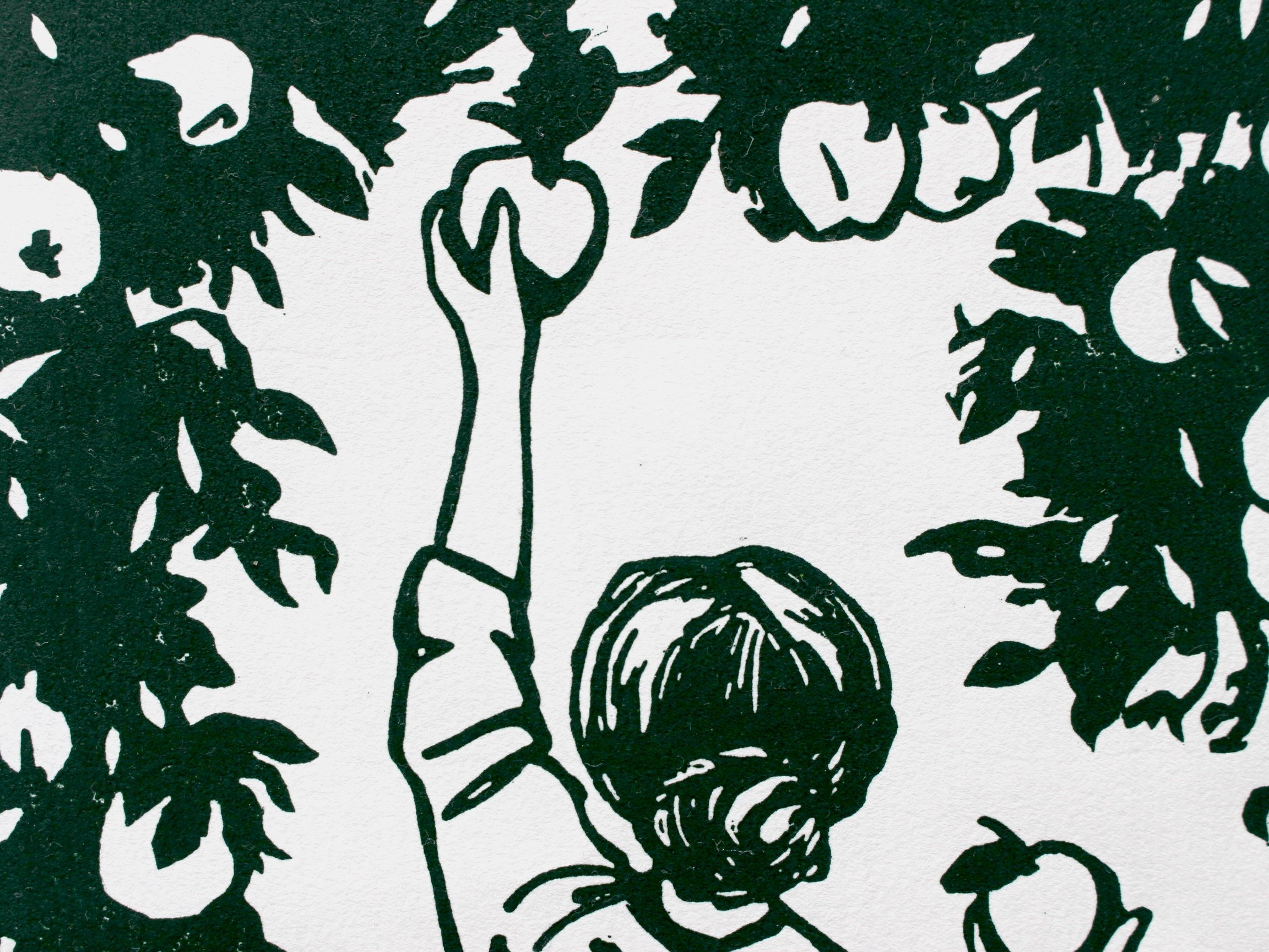 applepickergreen5.jpg