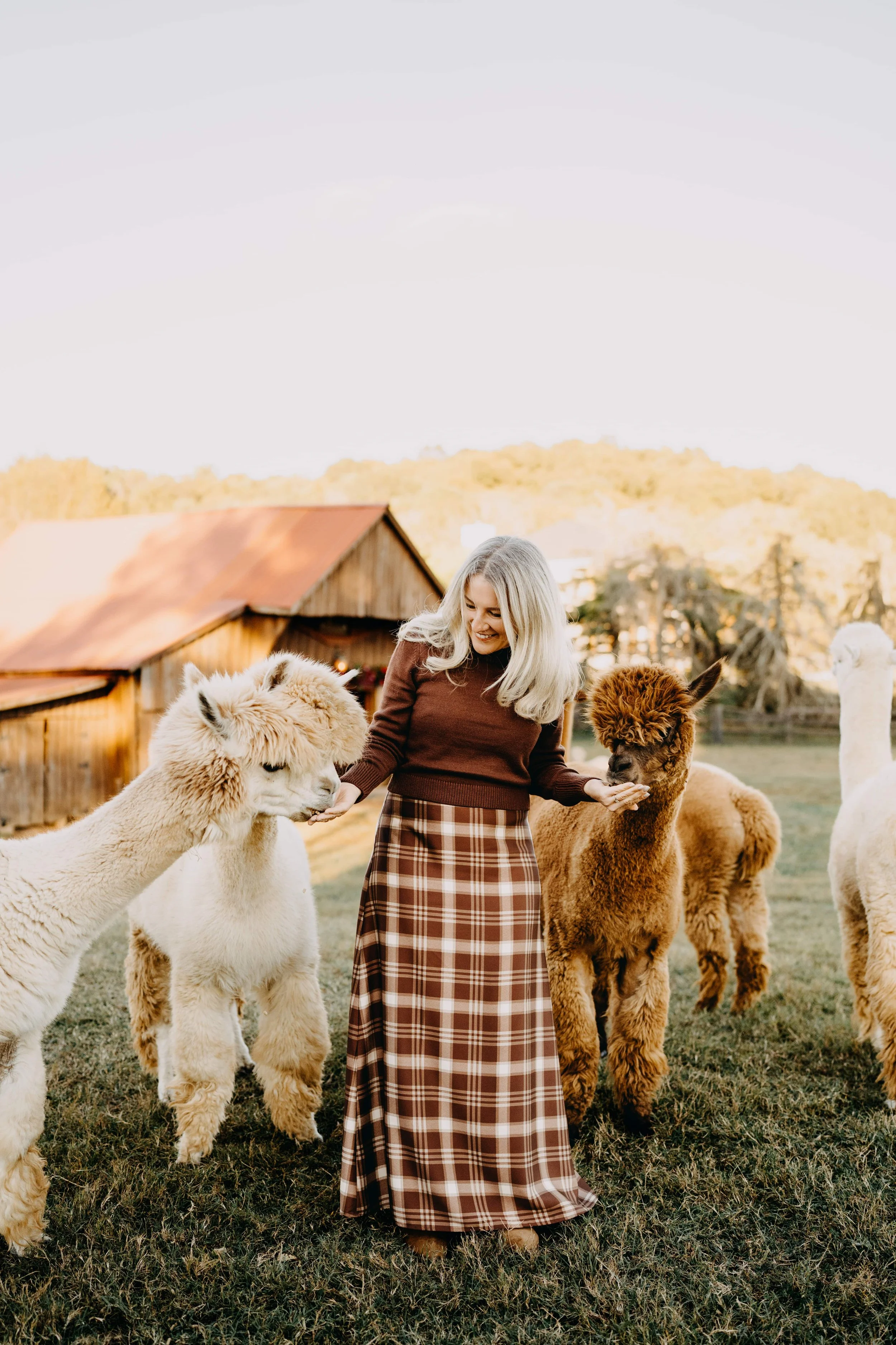 A woman with long blonde hair wearing a brown sweater and a long checkered skirt is standing outdoors on grass, surrounded by alpacas of various colors, some white, brown, and tan. In the background, there is a barn and trees with autumn foliage.