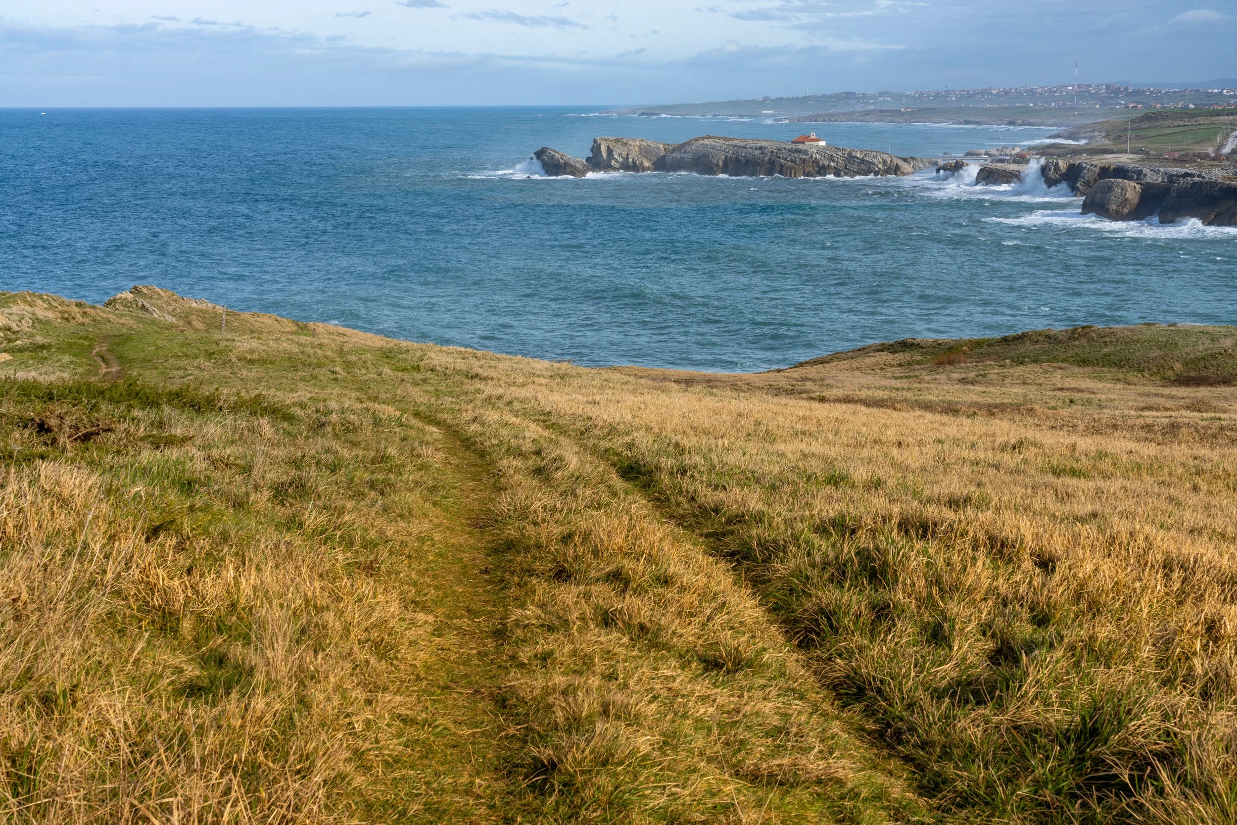 _DSC7778.jpg