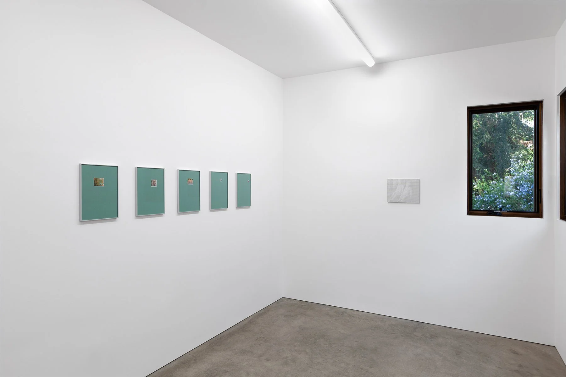 Tim_Bruggeman_Maxime_Le_Bon-window.jpg