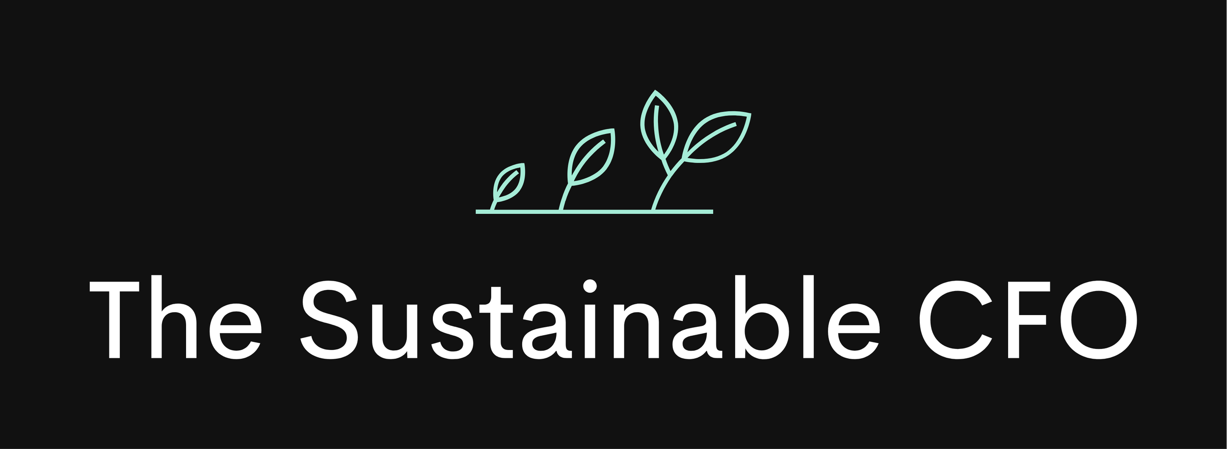 The Sustainable CFO Logo.png