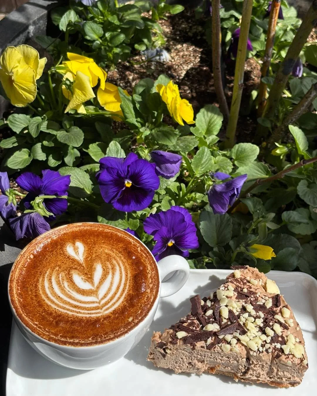 Happy Mother&rsquo;s Day 💐☕

Treat Mom to a little mountain moment with handcrafted lattes and sweet treats made for slowing down together at Whitebark.

#MothersDay #WhitebarkCafe #BanffCoffee  #MothersDayTreat