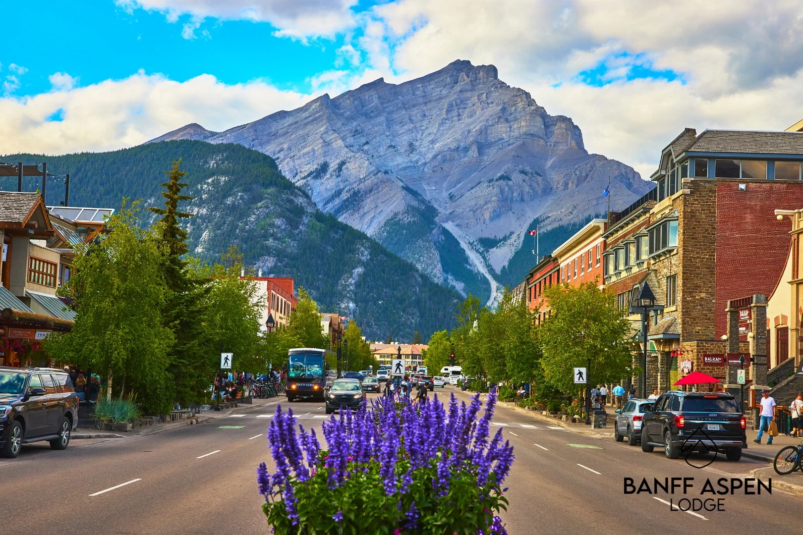 Hotels in Downtown Banff: Benefits and Drawbacks