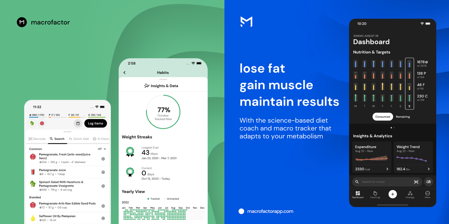 How to Gain up to 10 Pounds of Muscle in a 6-Month Building (Bulking ...