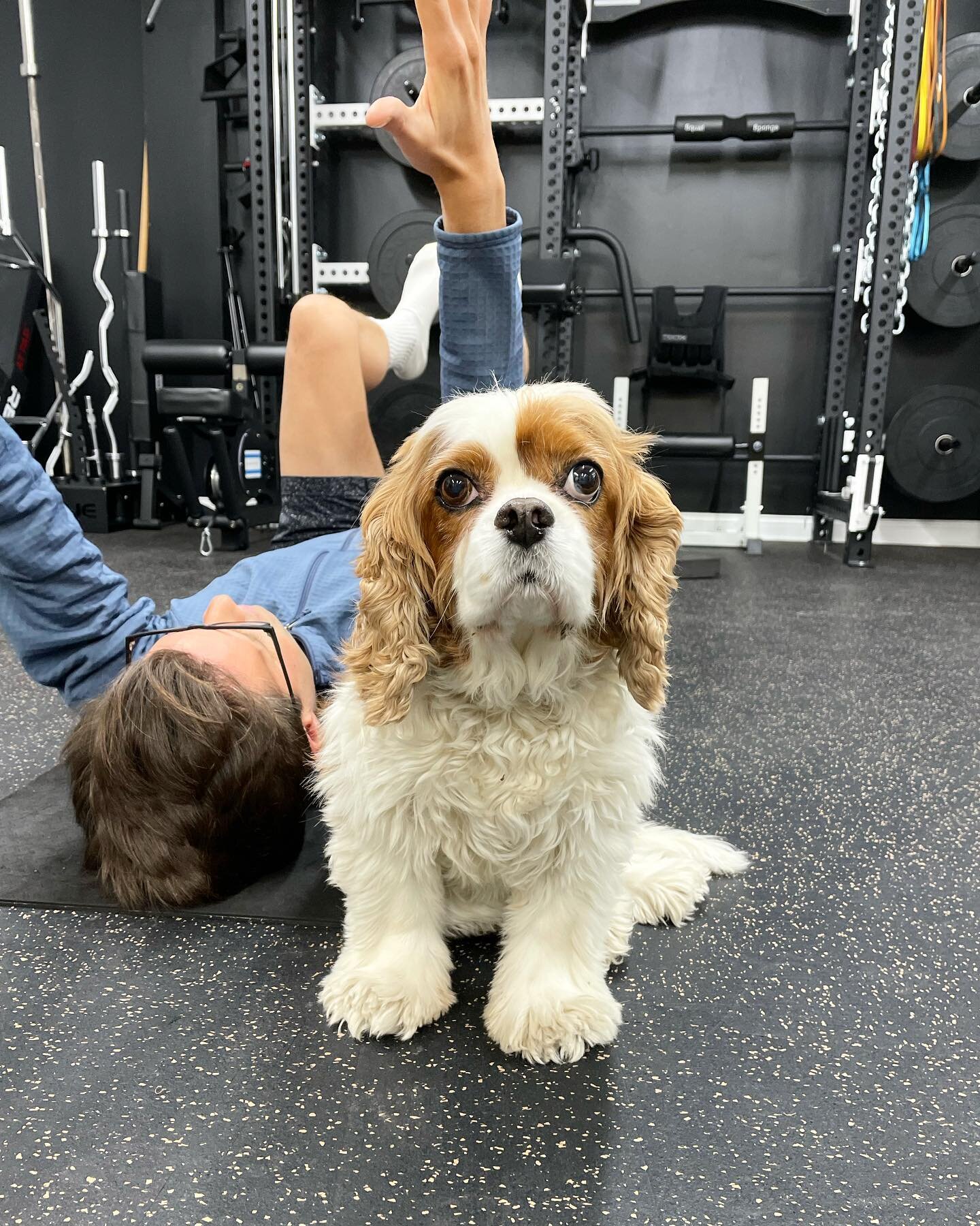&ldquo;My Dad signed up for 6am workouts, I did not.&rdquo; - Captain Jack, probably
#pupsofthespace