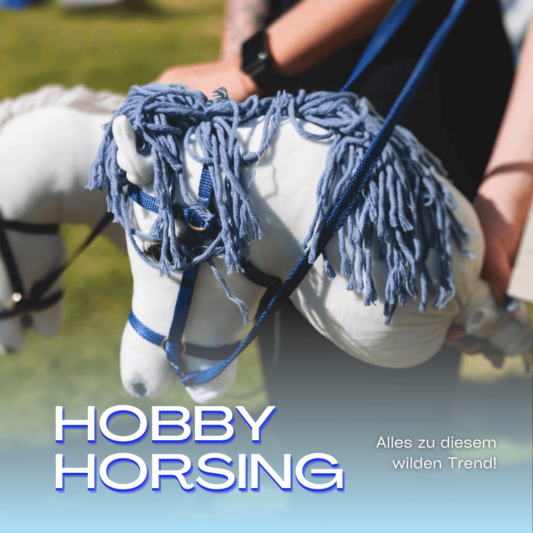 Hobby Horsing: Was das ist und wie es zum wilden Trend wurde!