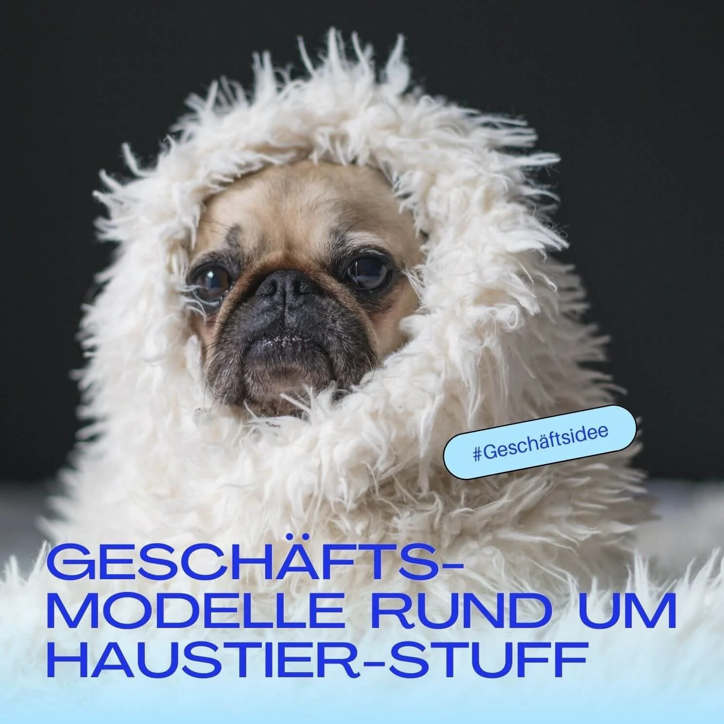 #Geschäftsideen: Haustier-Stuff für Millennials 🐶🐱