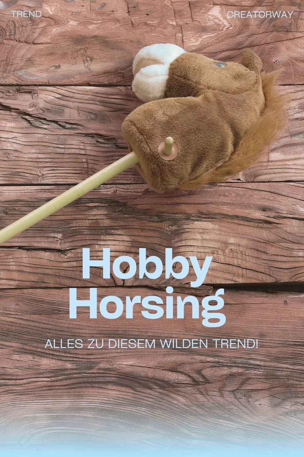 Hobby Horsing: Was das ist und wie es zum wilden Trend wurde!