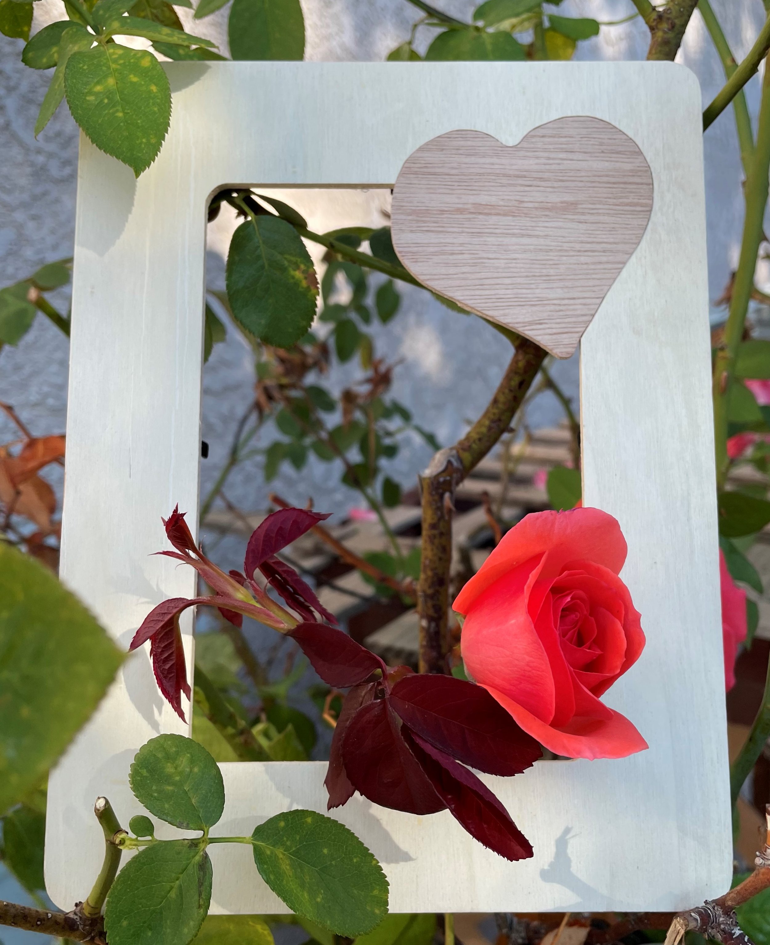 Unfinished 4x6 Heart Inlay .jpg