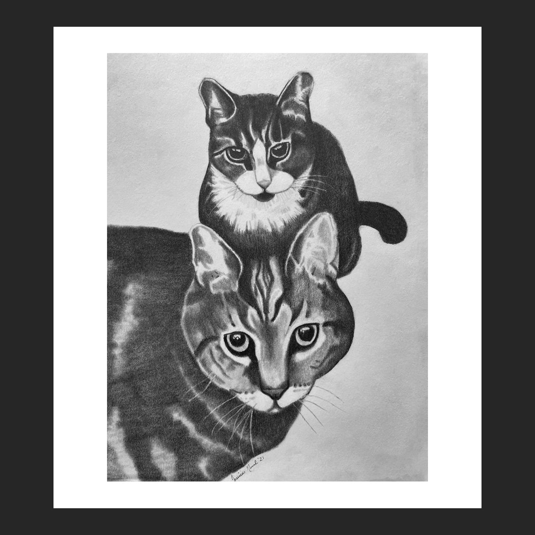 Cats-PetPortrait.jpg