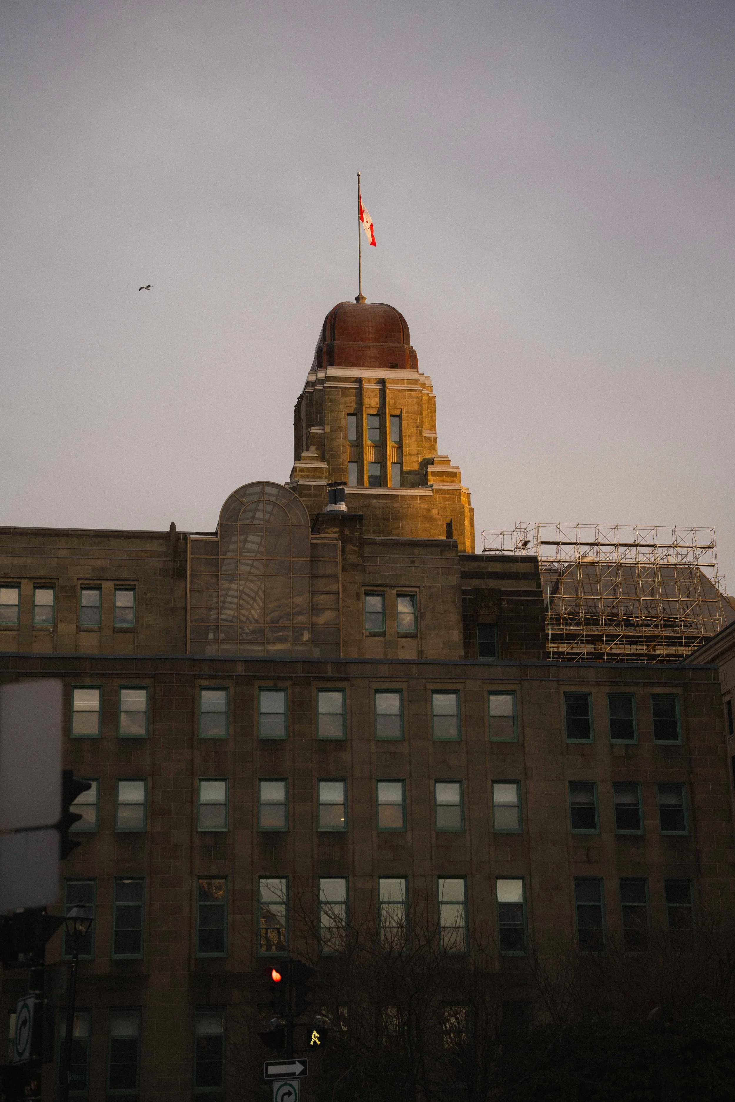 photo at golden hour of a seagull flying past a historic sandstone building with a canadian flag in downtown Halifax off Barrington Street in a search for Halifax's Third Spaces