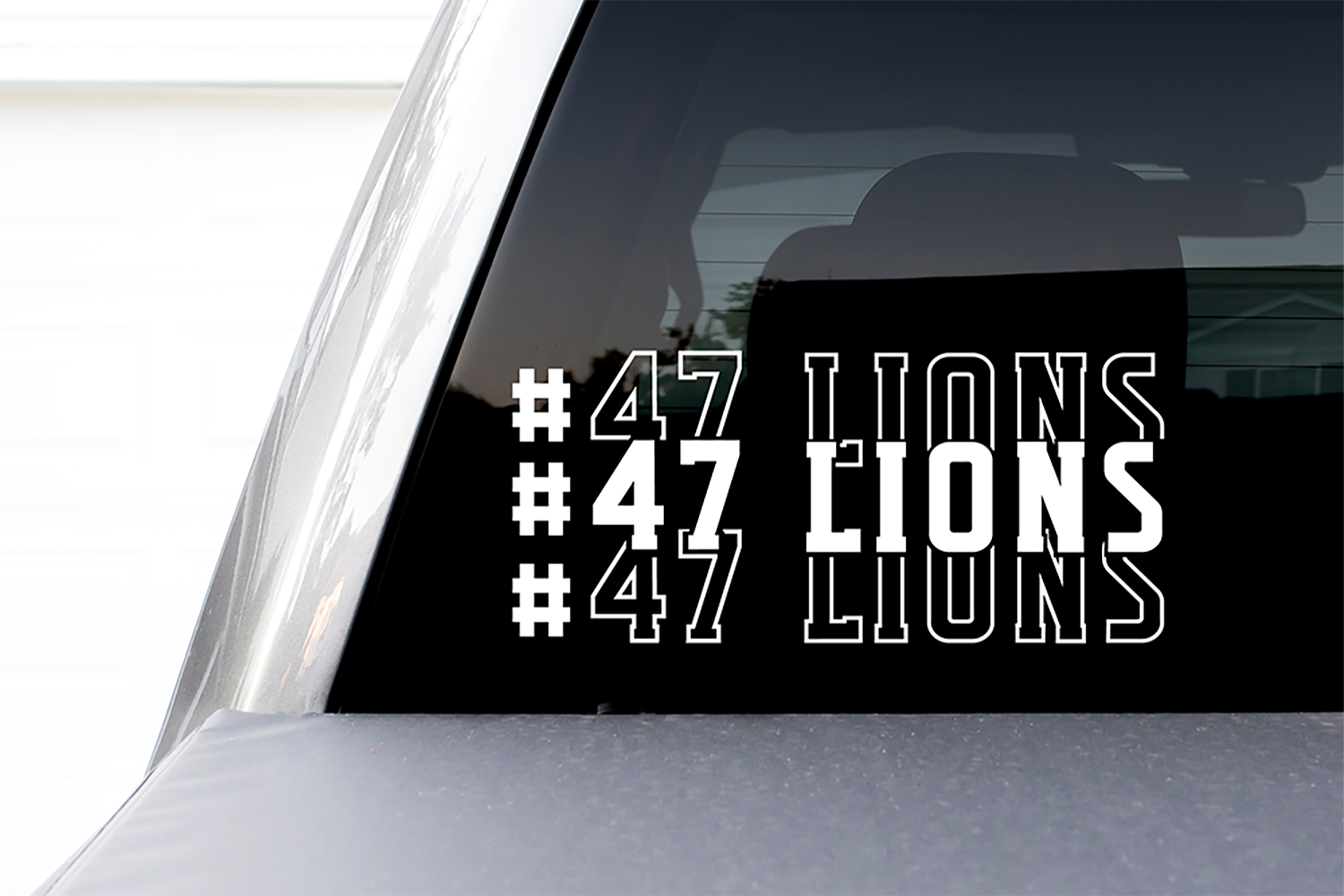 47LIONS copy1.png