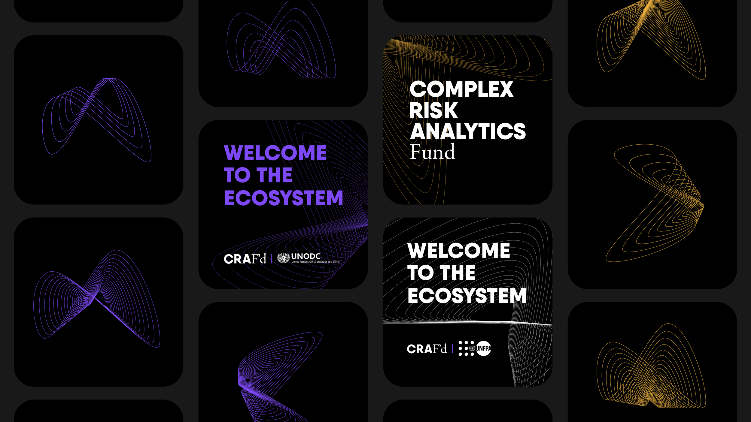 Complex Risk Analytics Fund, United Nations — ENEREL