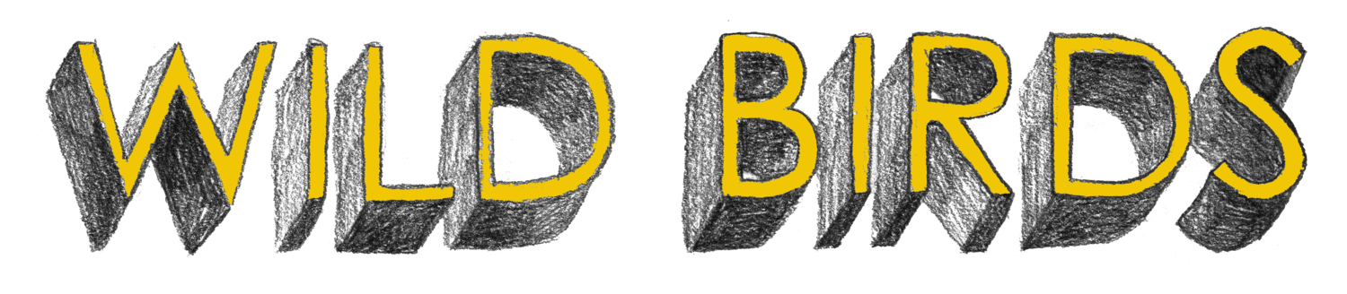 Wild Birds Music Venue & Bar