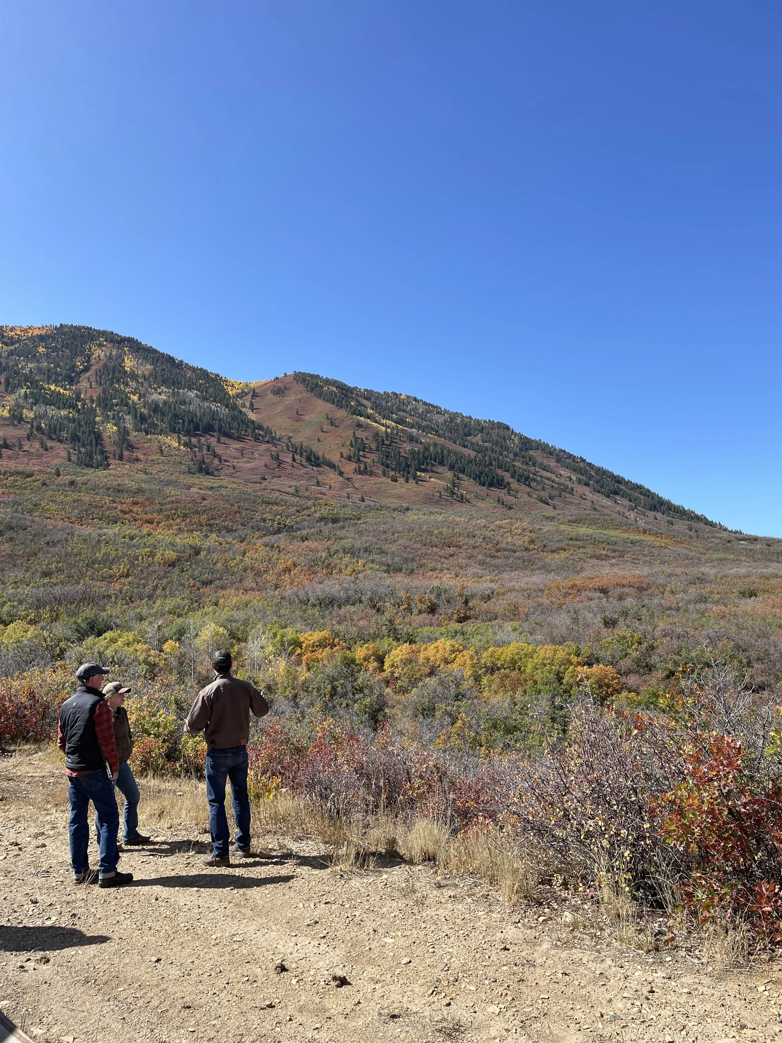 Photo Oct 04 2023, 12 03 33 PM.jpg