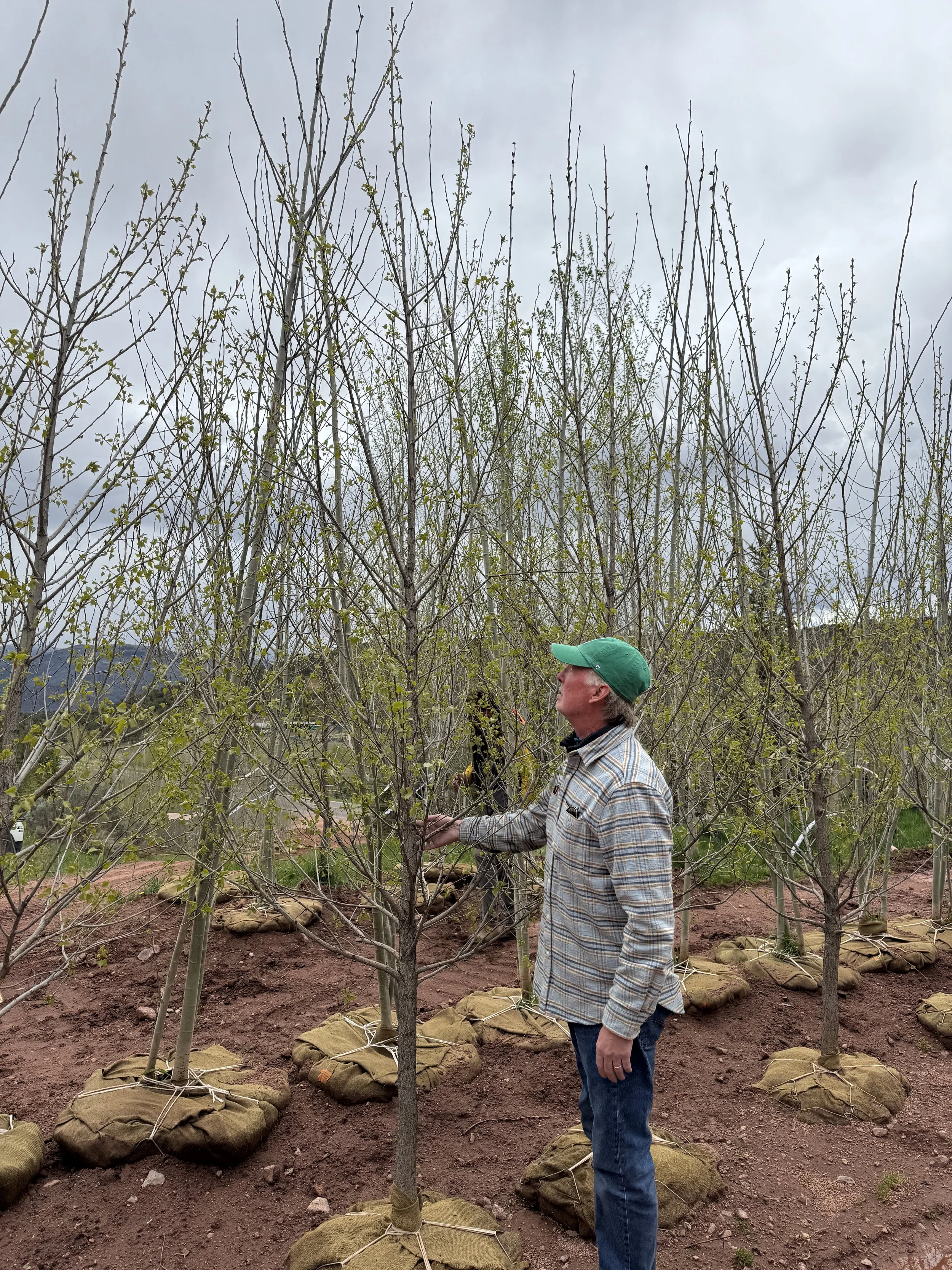 Photo May 15 2025, 2 37 08 PM.jpg