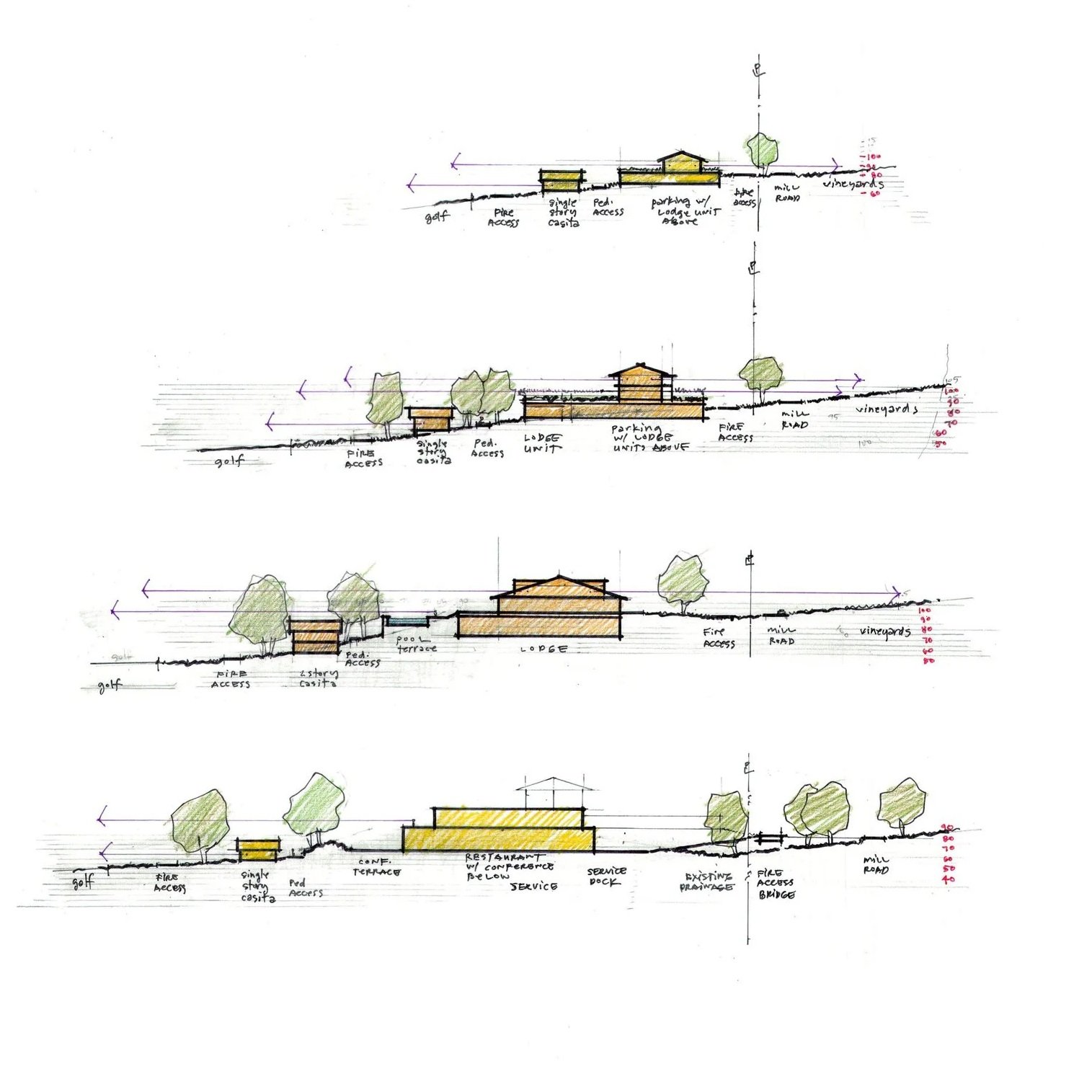 paso robles-landscape-architecture-6