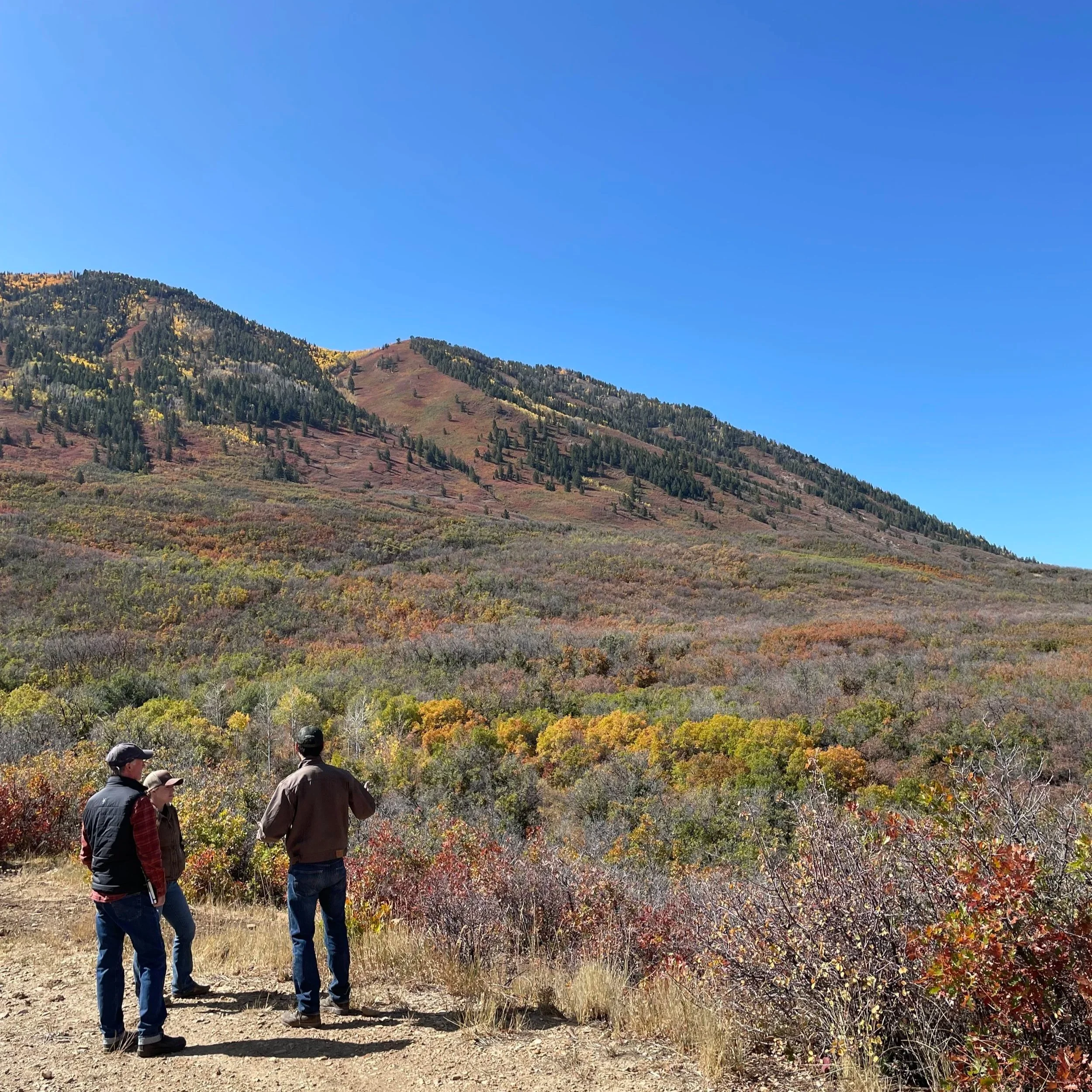 carpenter studio - process - three people stand on a dirt path looking at a scenic view of a mountain covered in autumn-colored foliage under a clear blue sky.
