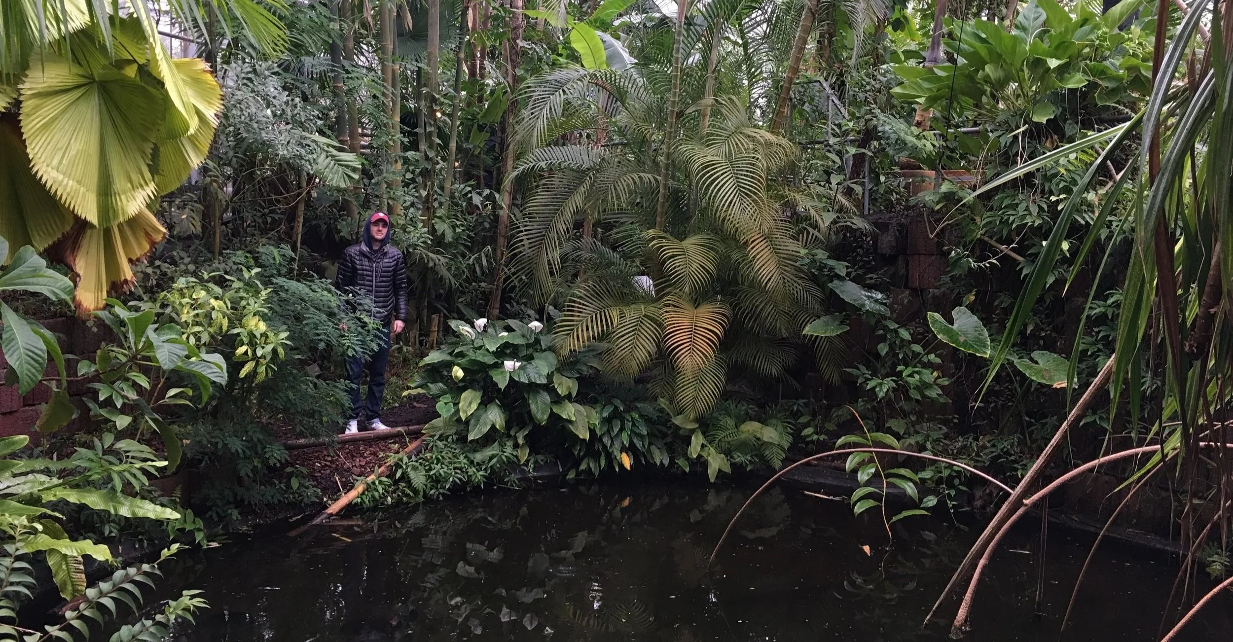 carpenter studio - landscape architecture - Sam