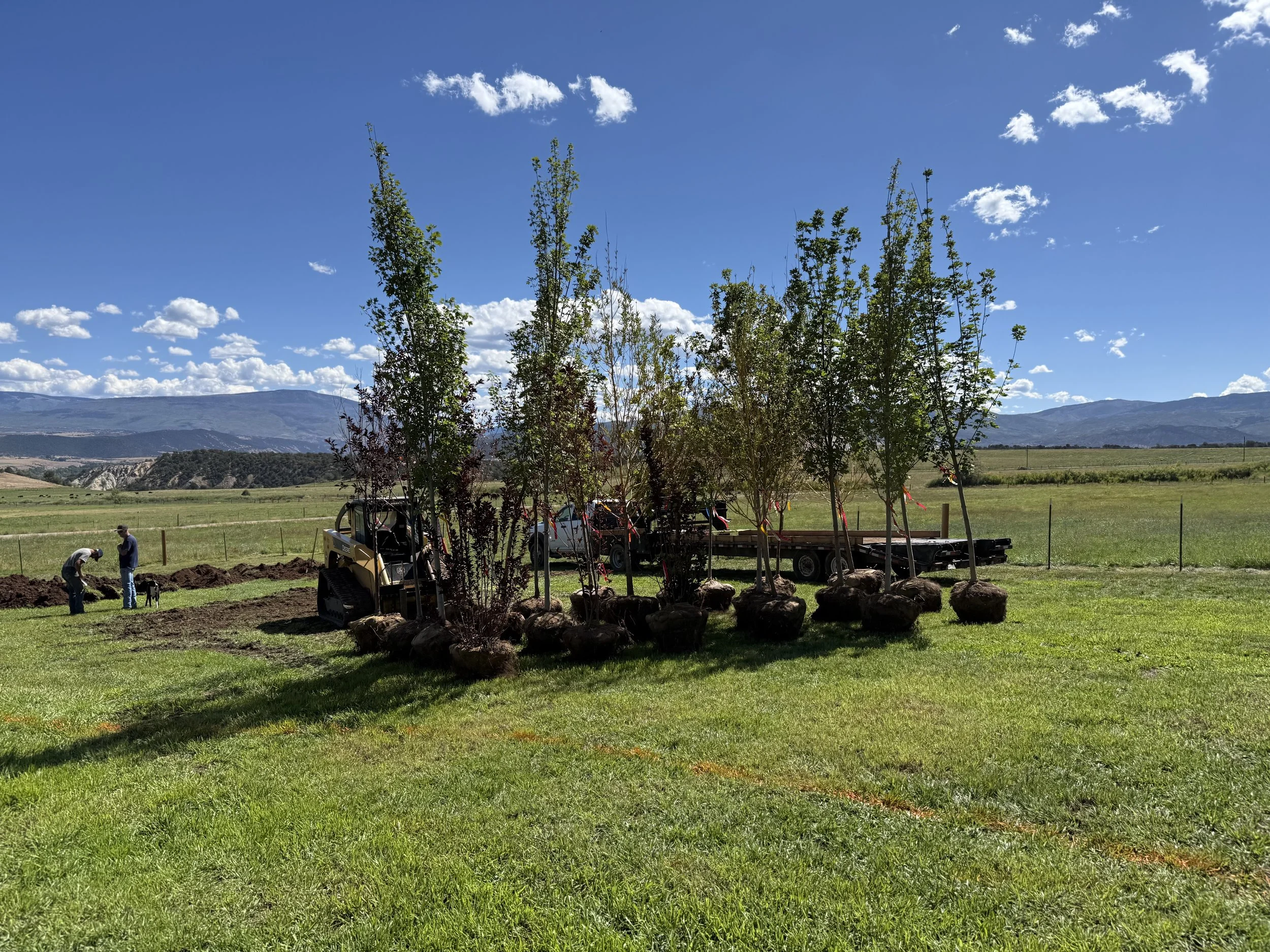 carbondale-ranch-landscape-5