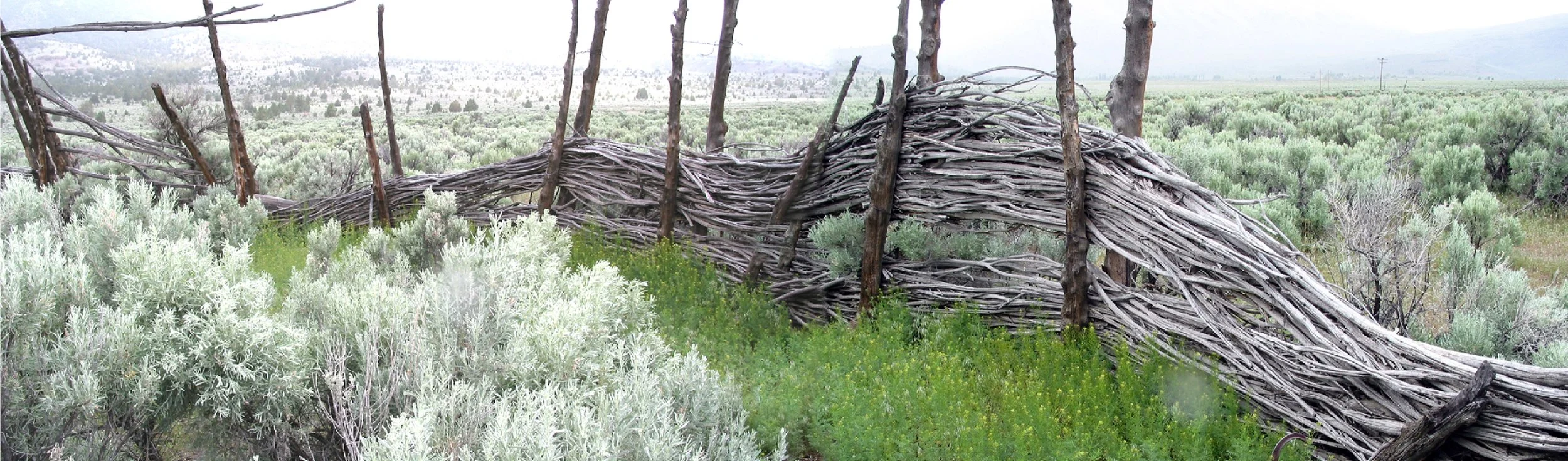Wild Horse Ranch — Steens Mountains, OR