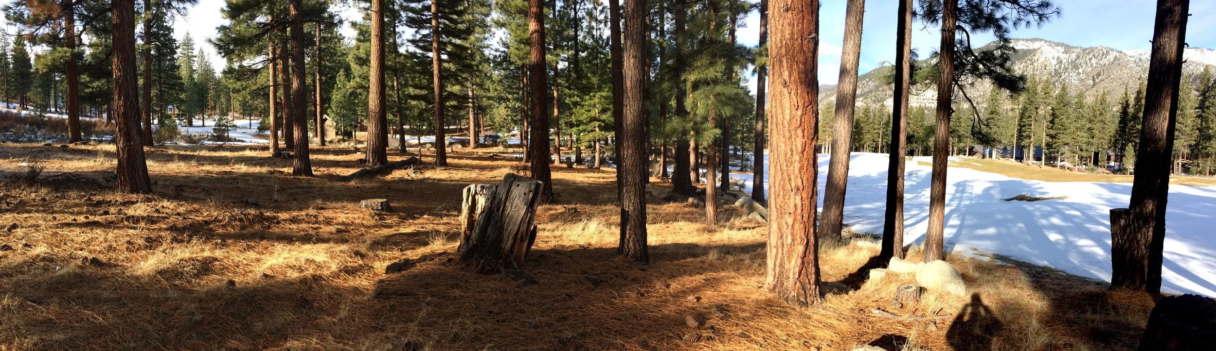 lake tahoe-landscape-architecture-6