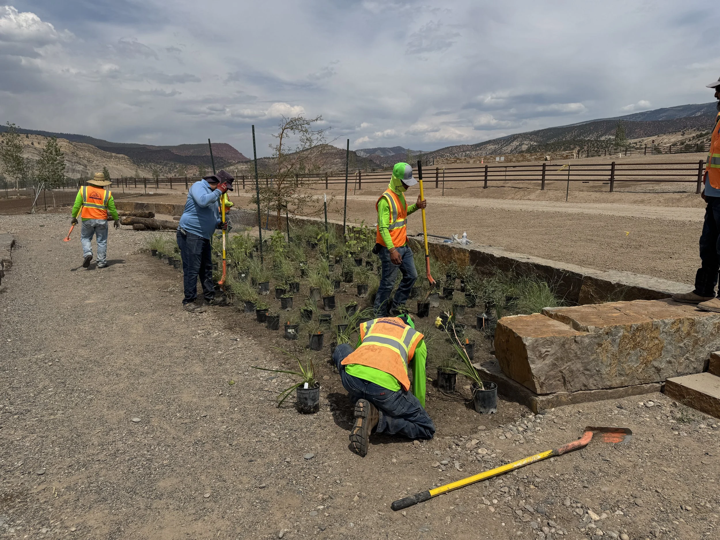 Photo Aug 14 2025, 2 08 57 PM.jpg