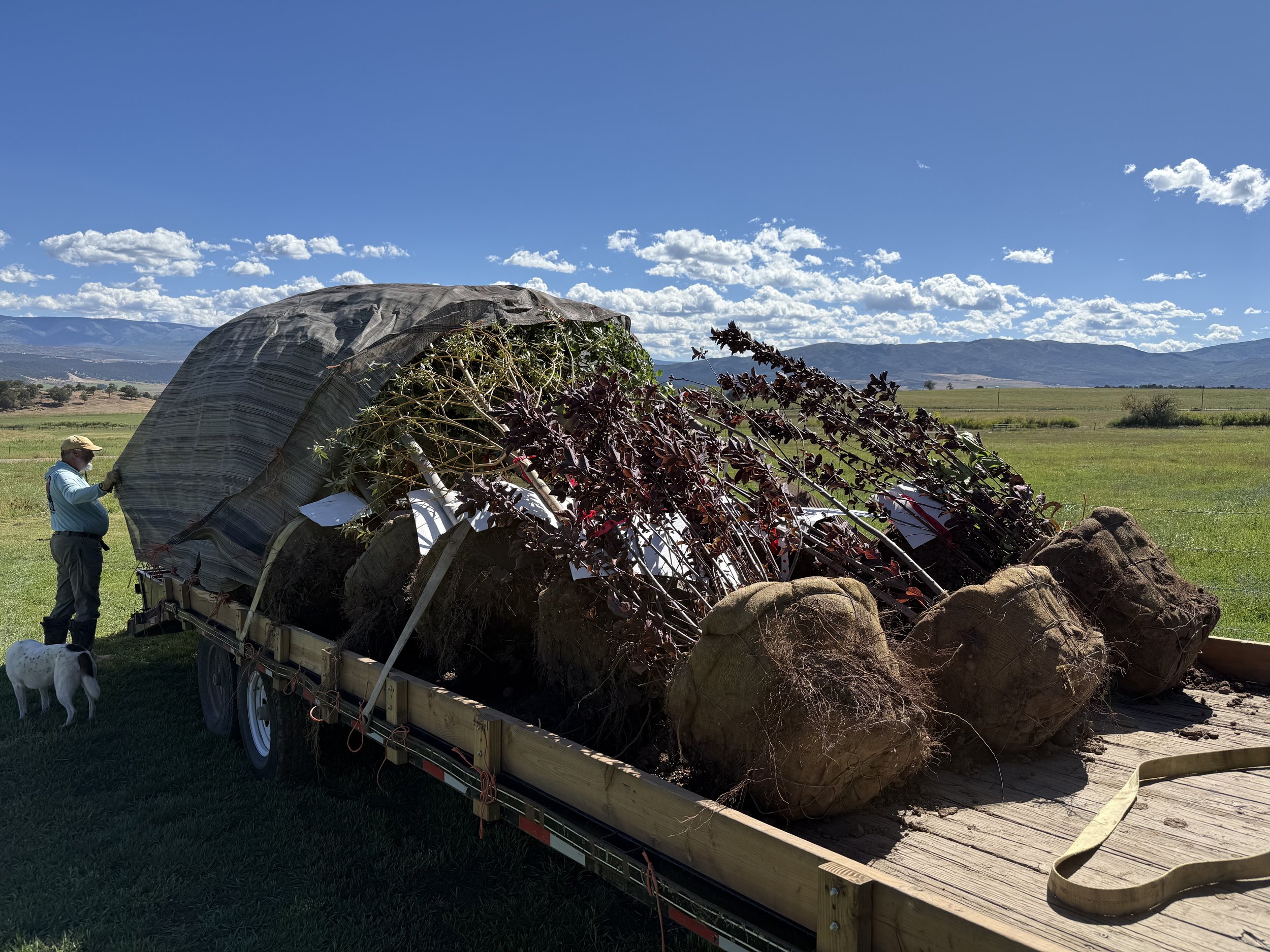 Photo Sep 10 2025, 11 00 37 AM.jpg