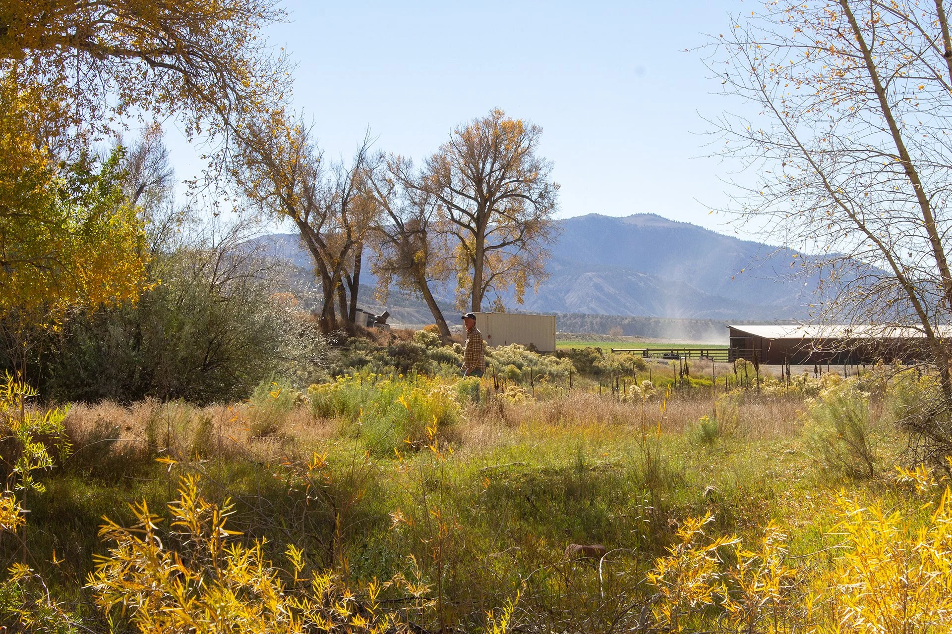 Landscape Architecture + Land Planning