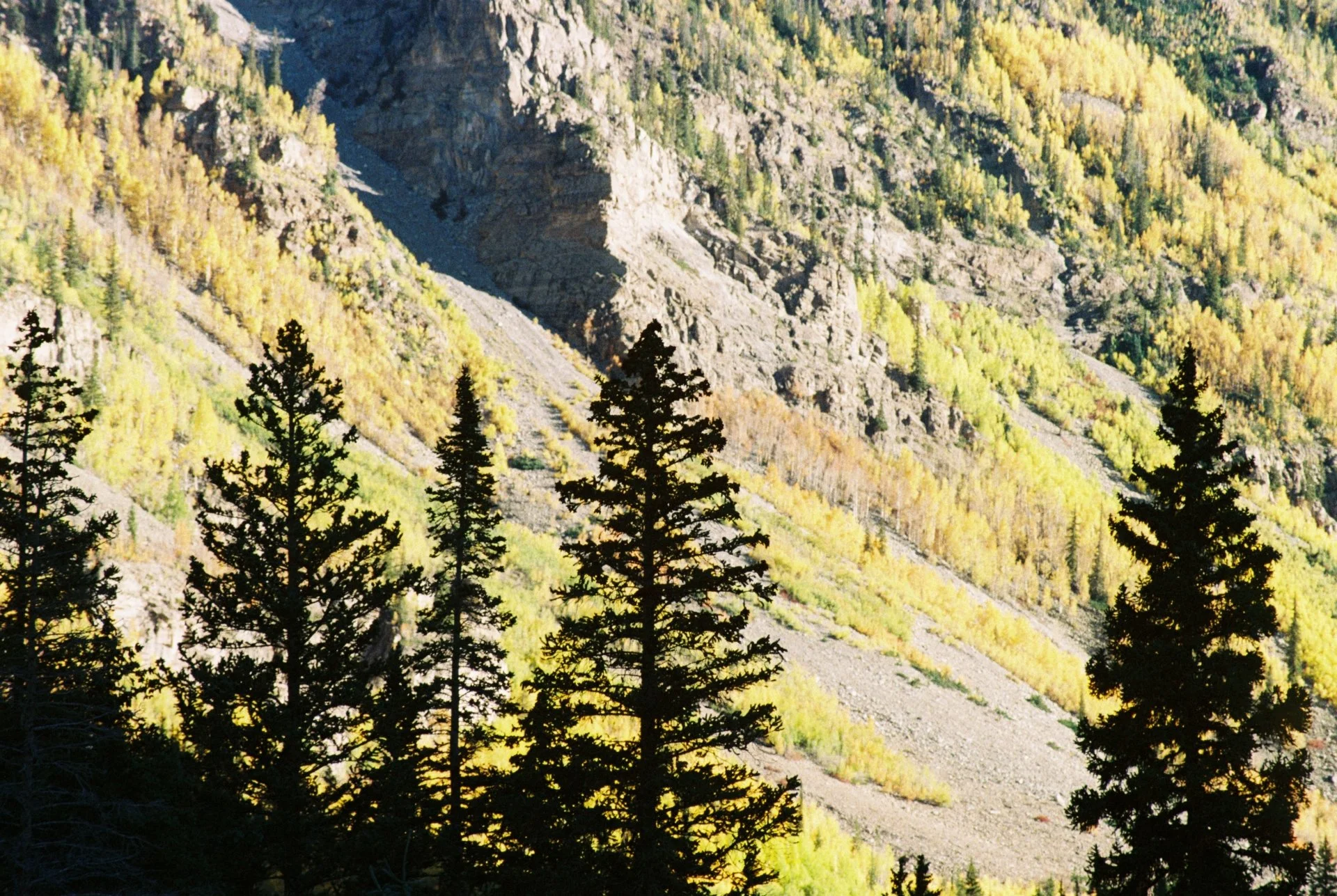 R1-09645-0005.JPG