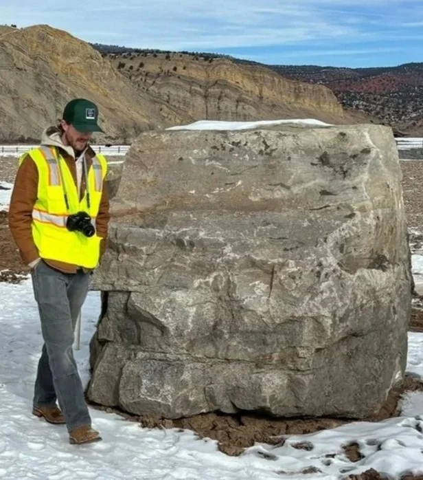 carpenter studio - landscape architecture - Ben