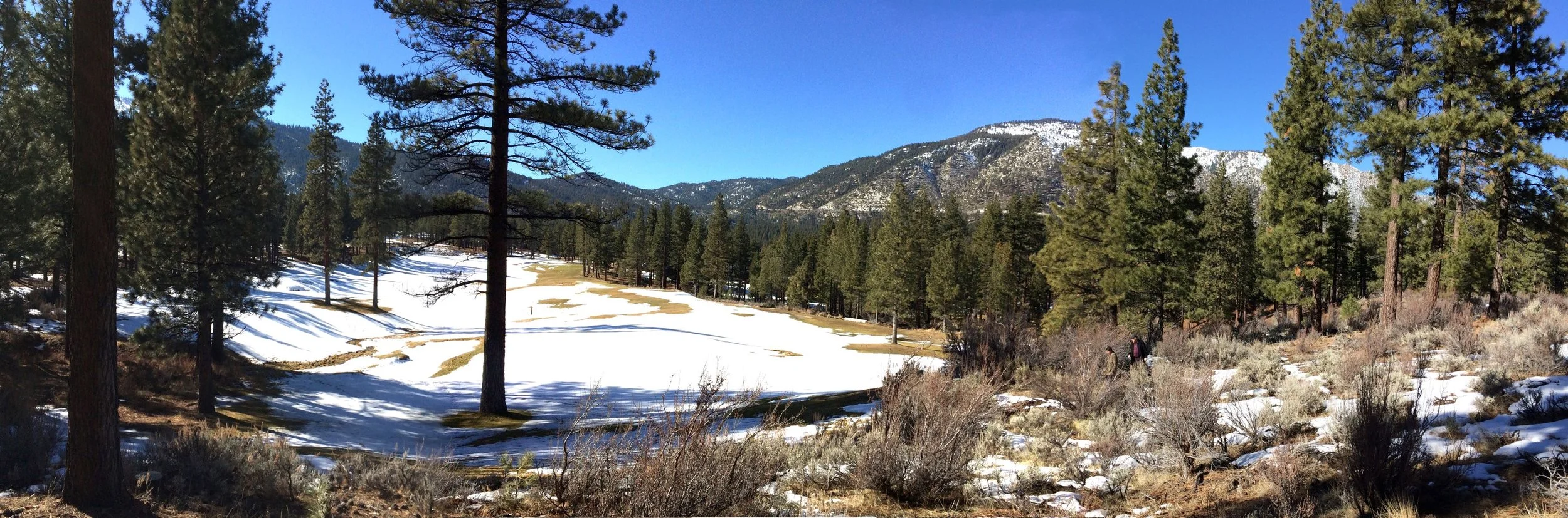 lake tahoe-landscape-architecture-7