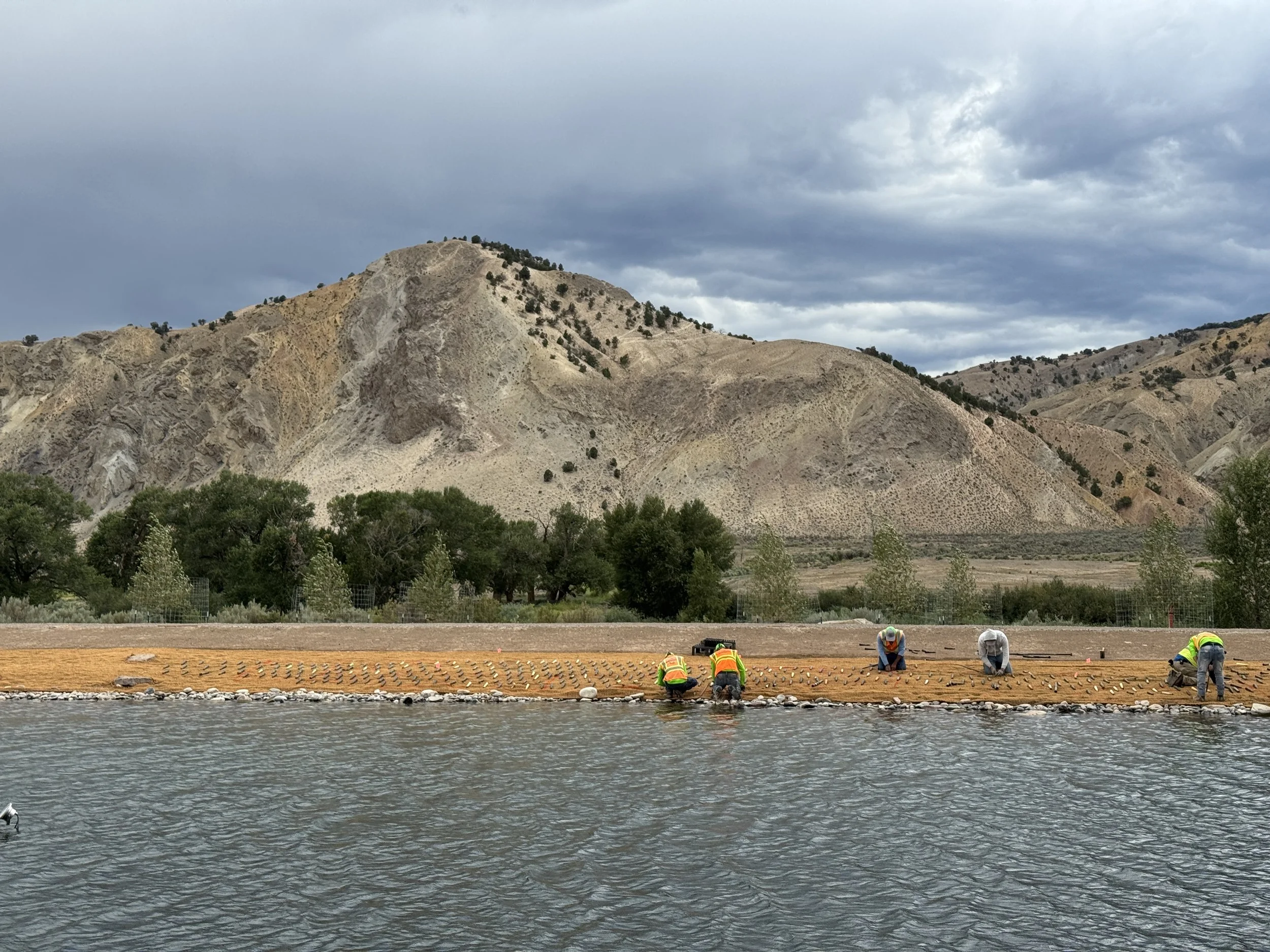 Photo Jul 23 2025, 2 22 37 PM.jpg