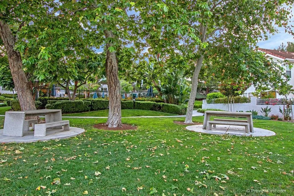 Stone Canyon Pic - 2.jpg