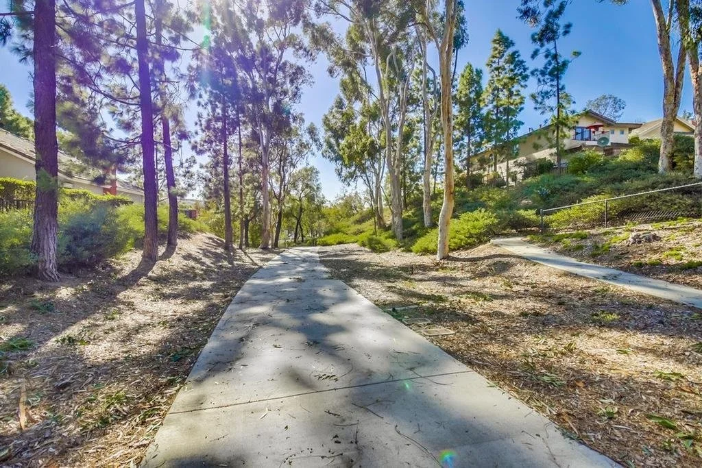 The Pines Pic - 3.jpg