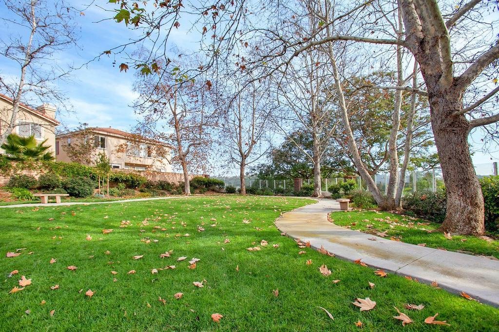 Carmel Village Pic - 1.jpg