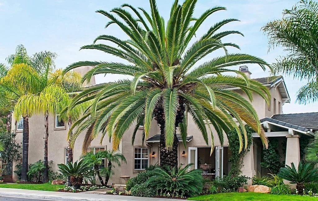 Triple Crown Pic - 2.jpg