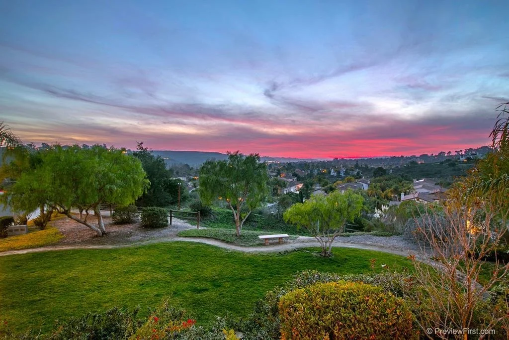 Wild Horse Pic - 1.jpg