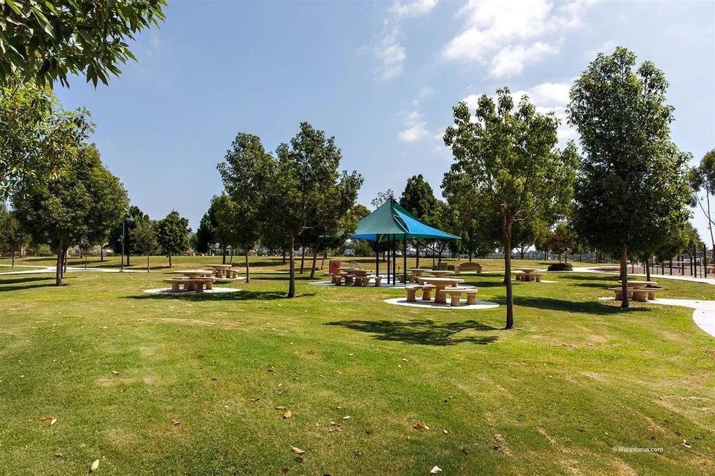 Palma Real Pic - 1.jpg