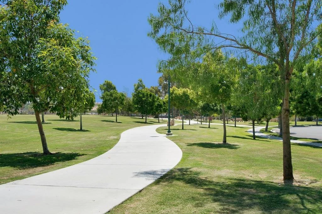 Palma Real Pic - 3.jpg