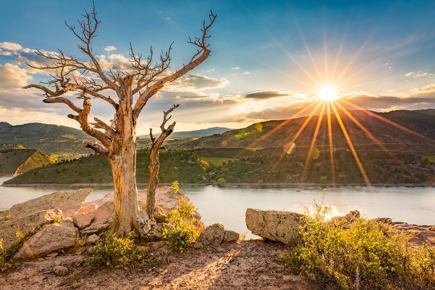 LARIMER COUNTY