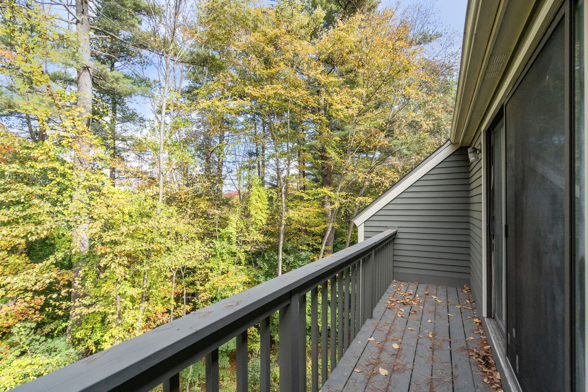 26-web-or-mls-Image (23 of 27).jpg