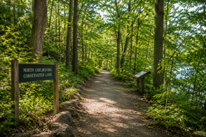 Hidden Gems in North Chelmsford That Locals Know About