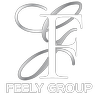 Feely Group | Ottawa's Best Realtors Logo