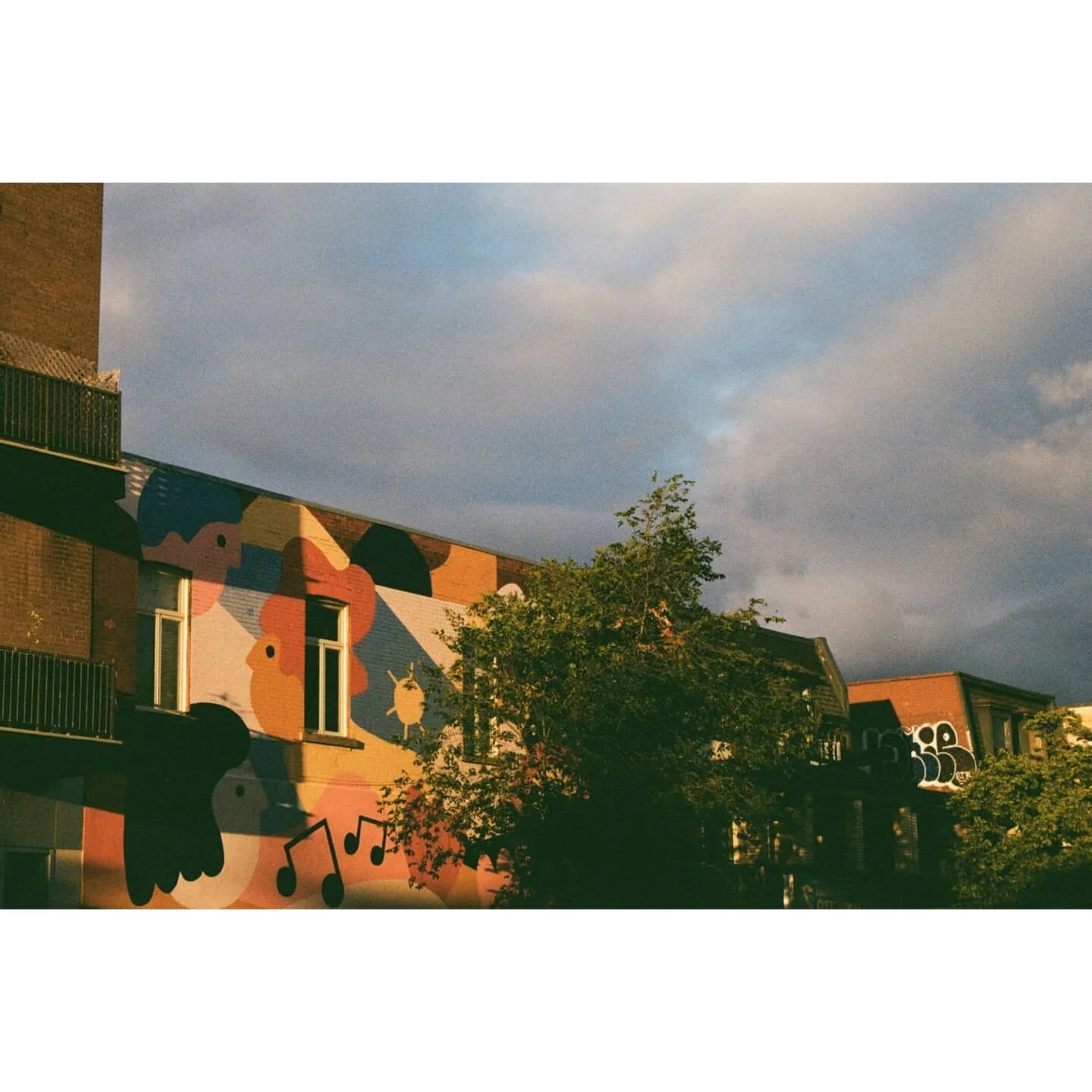 🌆🌇🌆
&bull;
&bull;
&bull;
Montreal has better street art than Toronto, sorry 😬
&bull;
#minolta #kodak200 // #downtowncamera